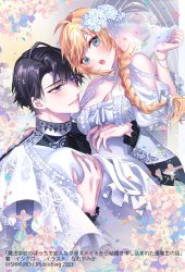 BD_mahou_HP